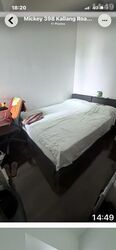 The Riverine By The Park (D12), Apartment #580739381